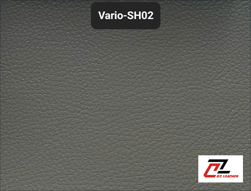 Da Vario